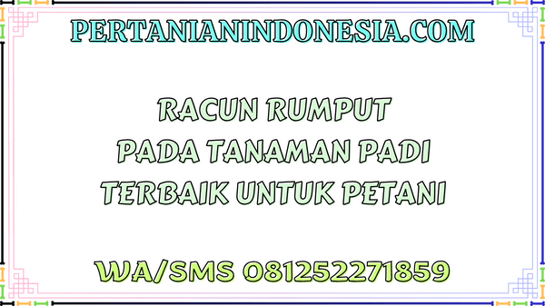 Racun Rumput Pada Tanaman Padi Terbaik Untuk Petani